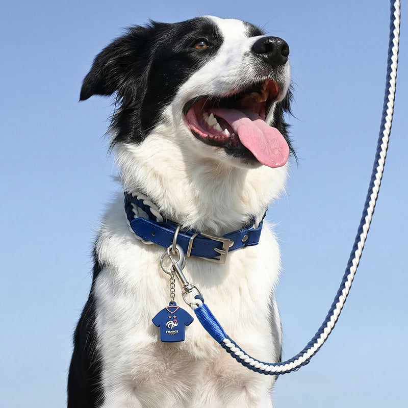 France FFF Pet Woven Leash